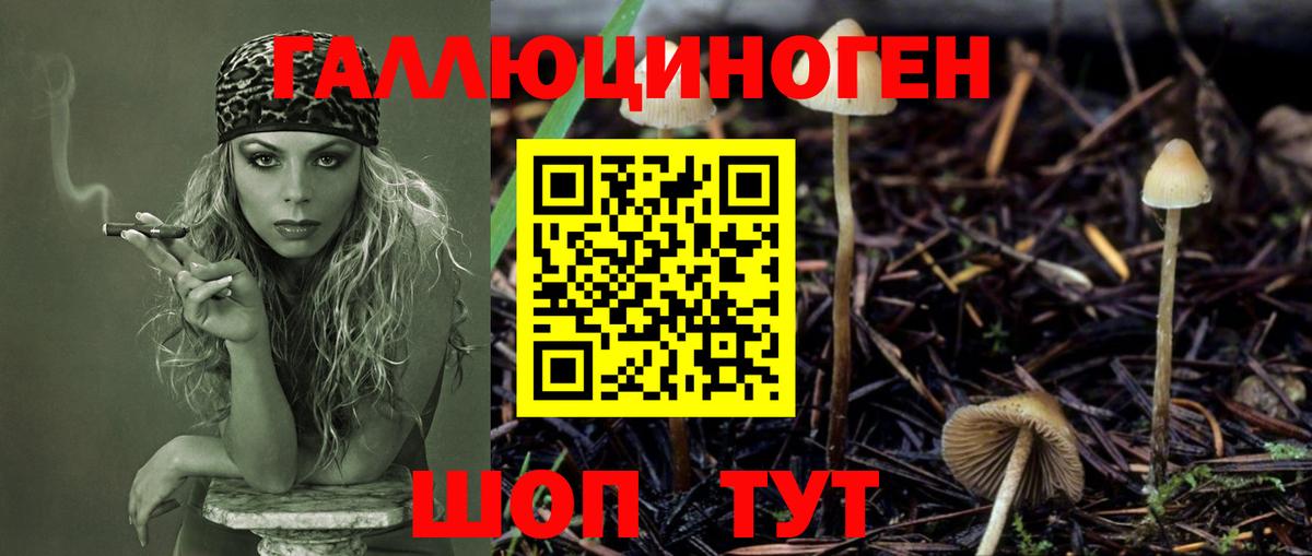 Псилоцибиновые грибы ЛСД  сколько стоит  Копейск 