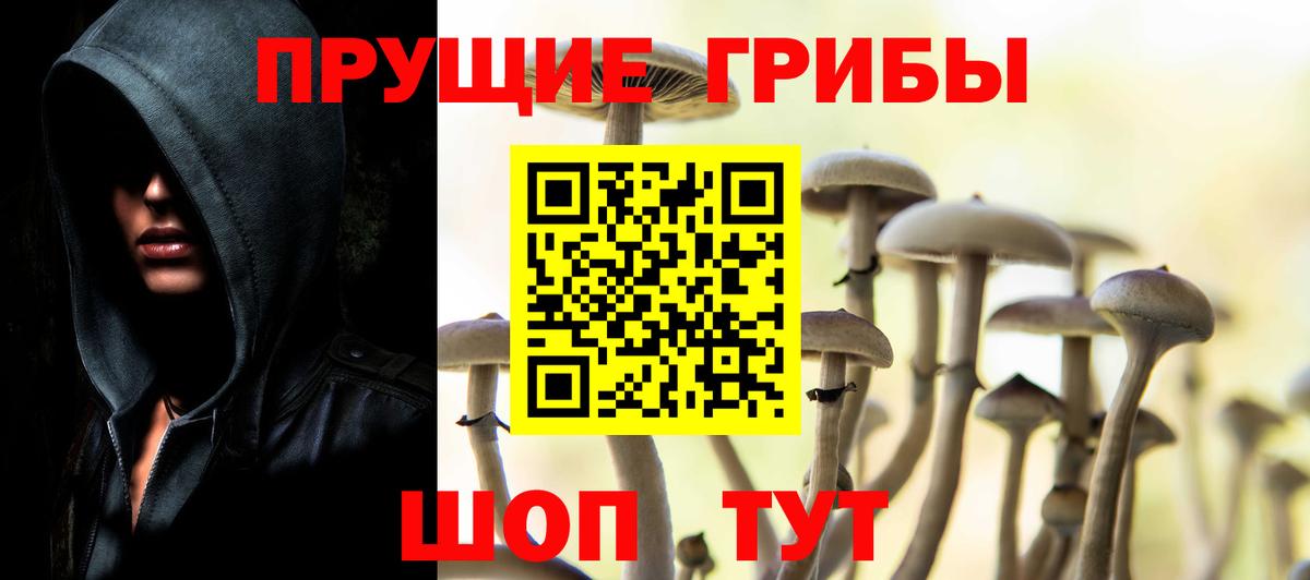 Галлюциногенные грибы Psilocybine cubensis Копейск