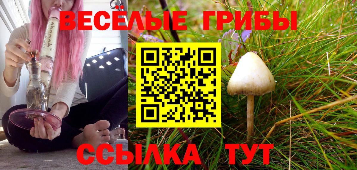 где купить наркоту  Вход с VPN  Галлюциногенные грибы Magic Shrooms  Копейск  Галлюциногенные грибы прущие грибы 